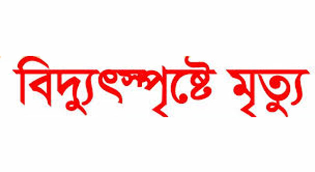 বিদ্যুৎস্পৃষ্ট প্রতিবেশিকে বাঁচাতে গিয়ে নারীর মৃত্যু