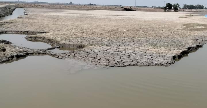 পাইকগাছায় একসনা বন্দোবস্ত প্রদান বন্ধ, সরকারের কোটি টাকার ক্ষতি