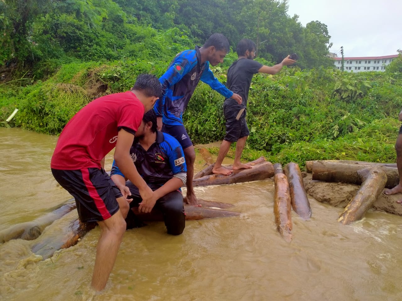 বৃষ্টি হলেই চবিতে গাছ পাচারের মহোৎসব