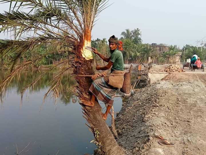 পাইকগাছায় খেজুরের রস সংগ্রহের জন্য গাছ প্রস্তুতিতে ব্যস্ত গাছিরা