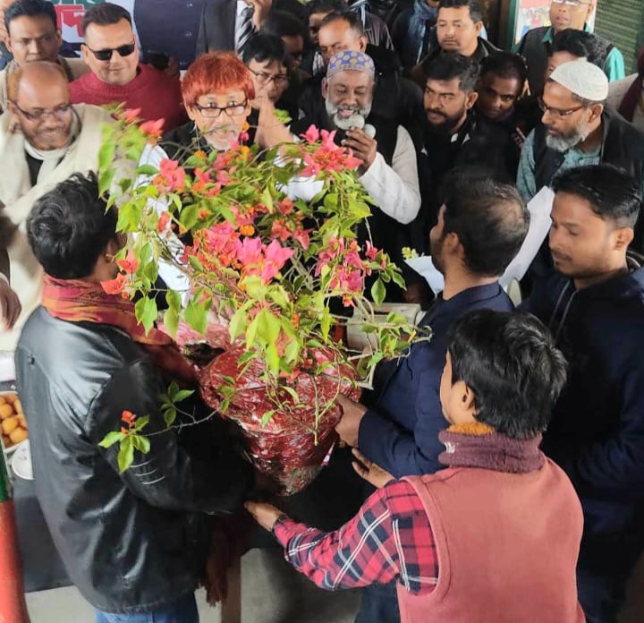 বড়াইগ্রামে এমপি’কে পুরো ‘বাগান বিলাস গাছ’ দিয়ে সংবর্ধনা