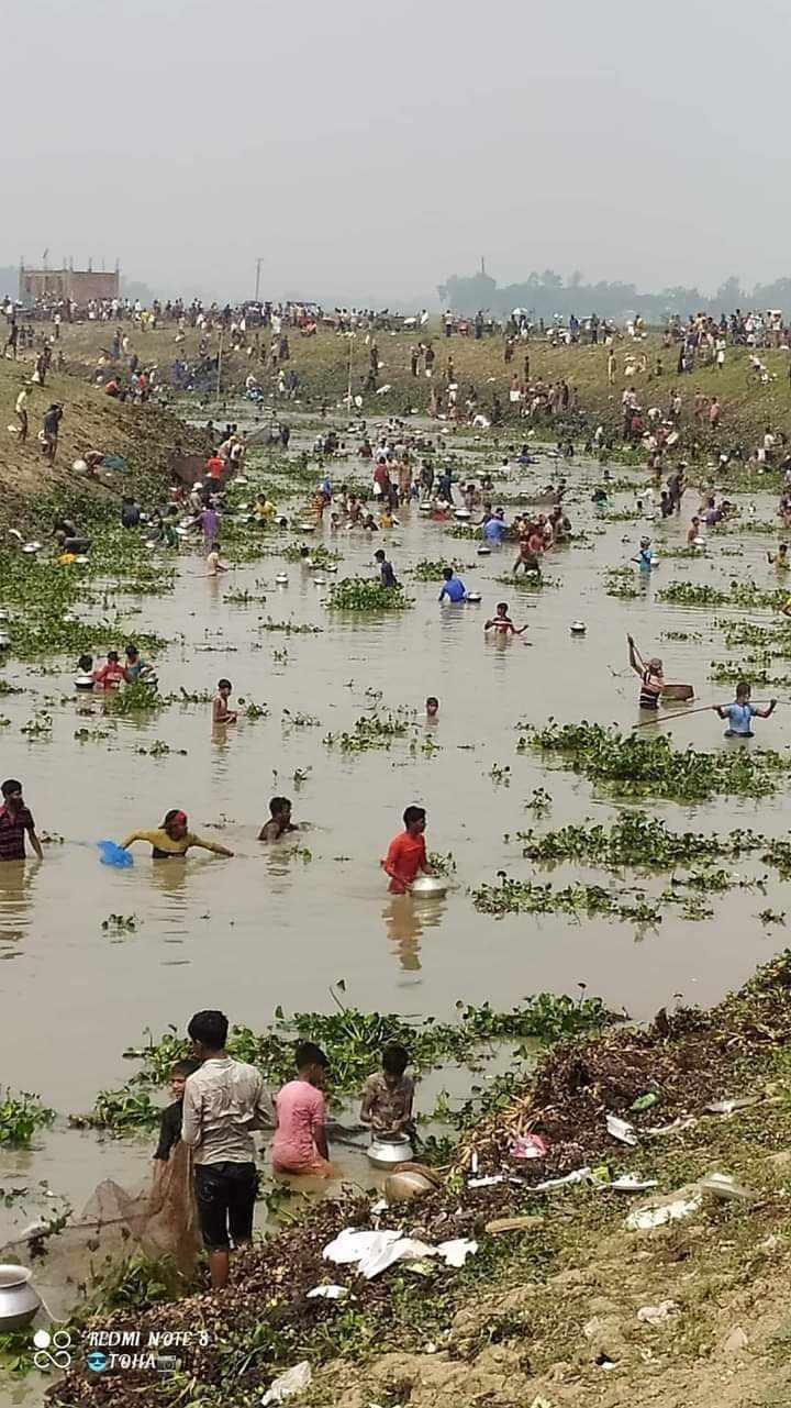 সিংড়ায় চলনবিলে মাছ ধরলো শত শত মানুষ