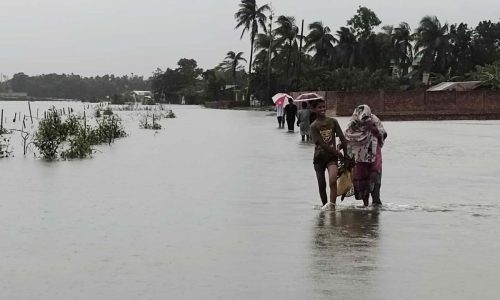 সর্বোচ্চ বৃষ্টিপাত চাঁদপুরে, ঢাকায় ২২৪ মিলিমিটার