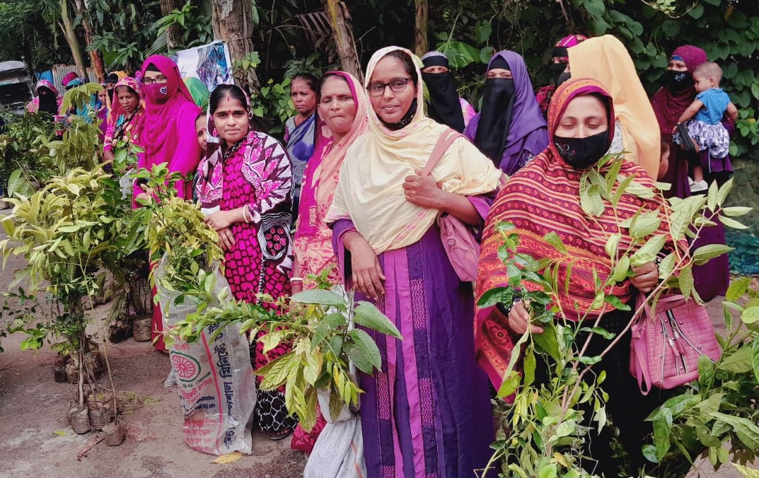 নোয়াখালীতে এনআরডিএস এর উদ্যোগে ফলদ বৃক্ষের চারা বিতরণ