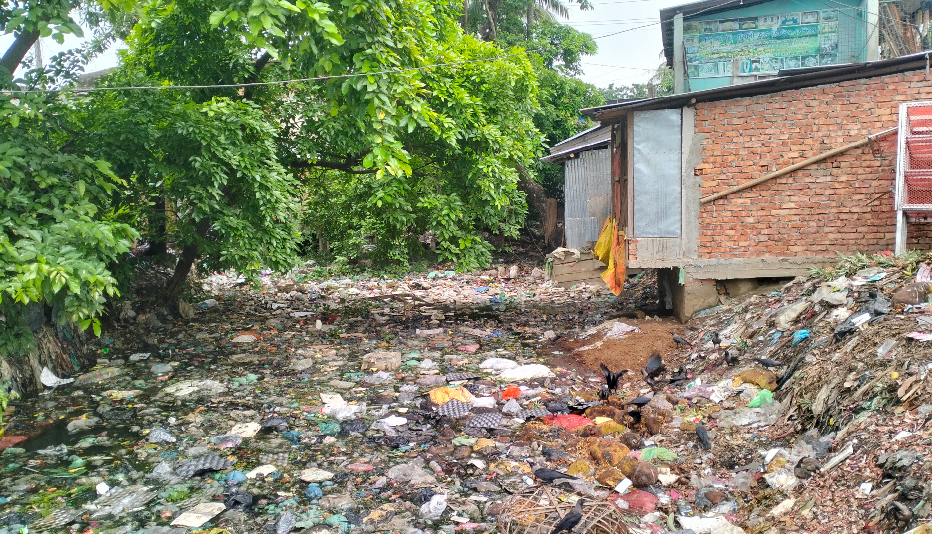 চাম্বল ছড়া যেন ময়লার ভাগাড়, দখল দূষণে বিলীনের পথে