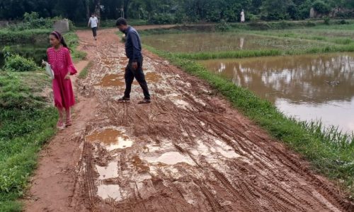 বাহারছড়া ছমদ চৌধুরী সড়ক দুই যুগেও সংস্কার হয়নি!