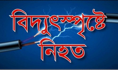 বকশীগঞ্জে গরুকে গোসল করাতে গিয়ে বিদ্যুৎস্পৃষ্টে গৃহবধূর মৃত্যু