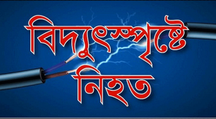 বকশীগঞ্জে গরুকে গোসল করাতে গিয়ে বিদ্যুৎস্পৃষ্টে গৃহবধূর মৃত্যু