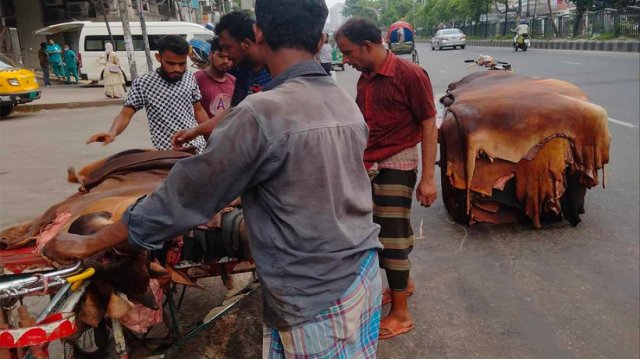 আড়তদার সিন্ডিকেটে জিম্মি কাঁচা চামড়ার বাজার