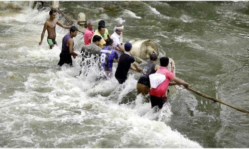 শ্রীলঙ্কায় মৌসুমী বন্যায় ১৪ জনের প্রাণহানি, স্কুল বন্ধ