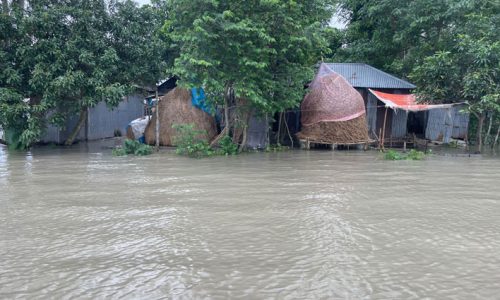 বগুড়ায় যমুনার পানি বৃদ্ধি, ২১ হাজার পরিবার পানিবন্দি