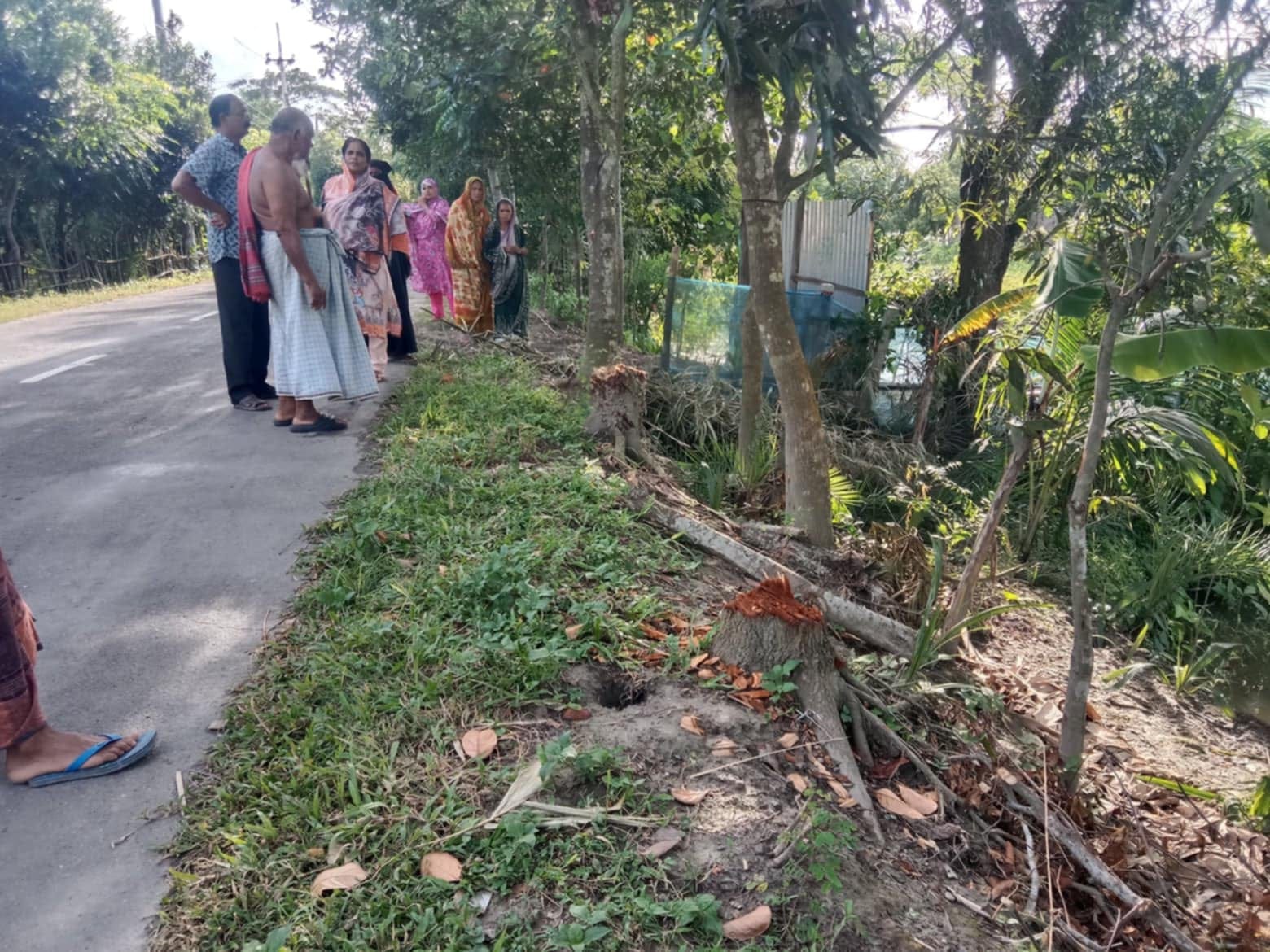 কোটালীপাড়ায় সড়কের গাছ কর্তনে বাঁধা দেওয়ায় বৃদ্ধাকে মারপিটের অভিযোগ