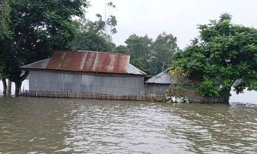 উলিপুরে বানভাসিদের বেড়েছে দুর্ভোগ, দেখা দিয়েছে খাদ্যের সংকট