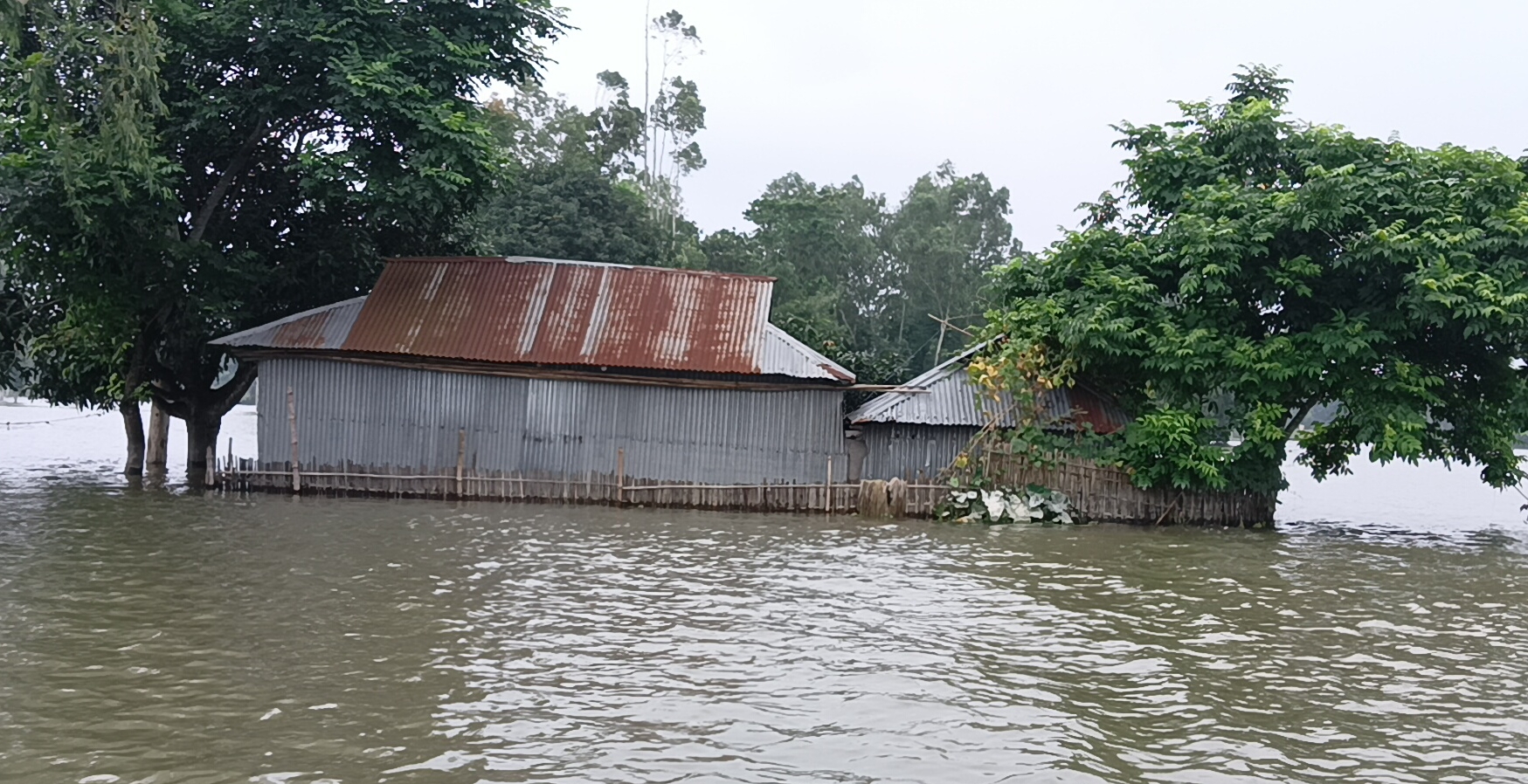 উলিপুরে বানভাসিদের বেড়েছে দুর্ভোগ, দেখা দিয়েছে খাদ্যের সংকট