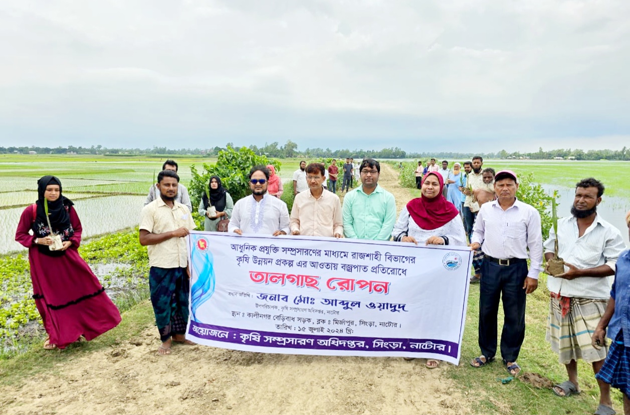 সিংড়ায় তালগাছের চারা রোপণ