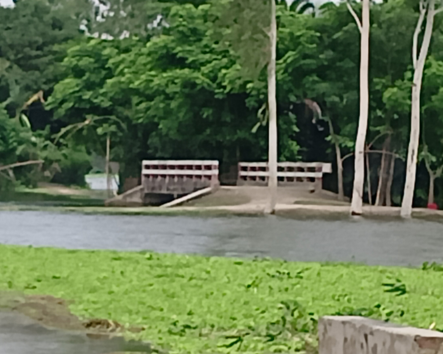 উলিপুরে বন্যার পানিতে খেলতে গিয়ে শিশুর মৃত্যু