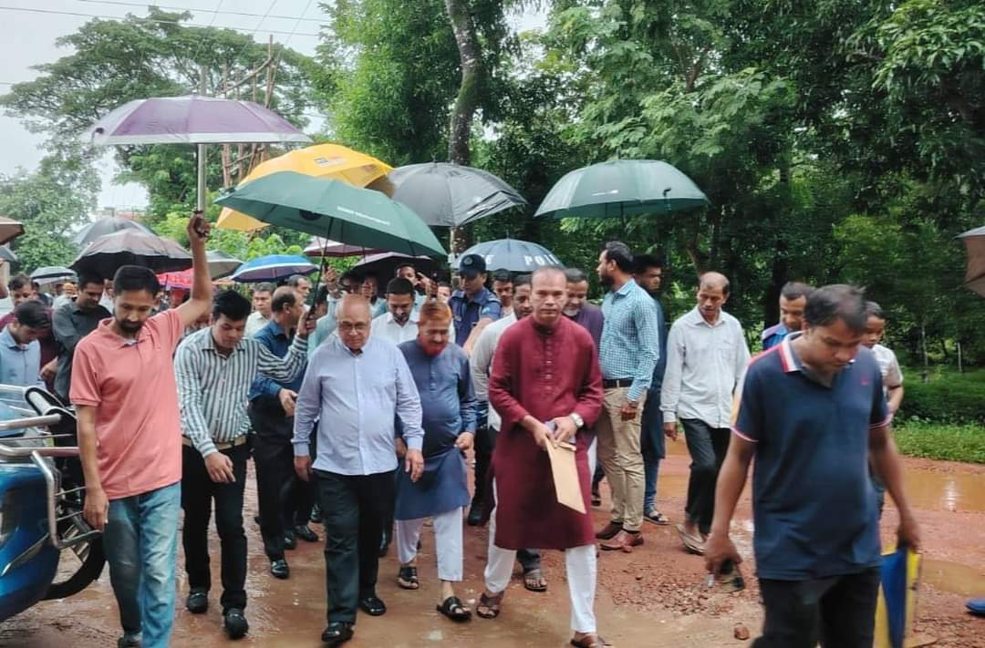 গত ১৫বছর টিভি দেখেননি মুক্তিযুদ্ধবিষয়ক উপদেষ্টা:ফারুক-ই-আজম