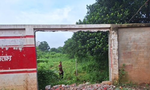 আশুলিয়ায় জাপানি সংস্থার জমি দখলের অভিযোগ 