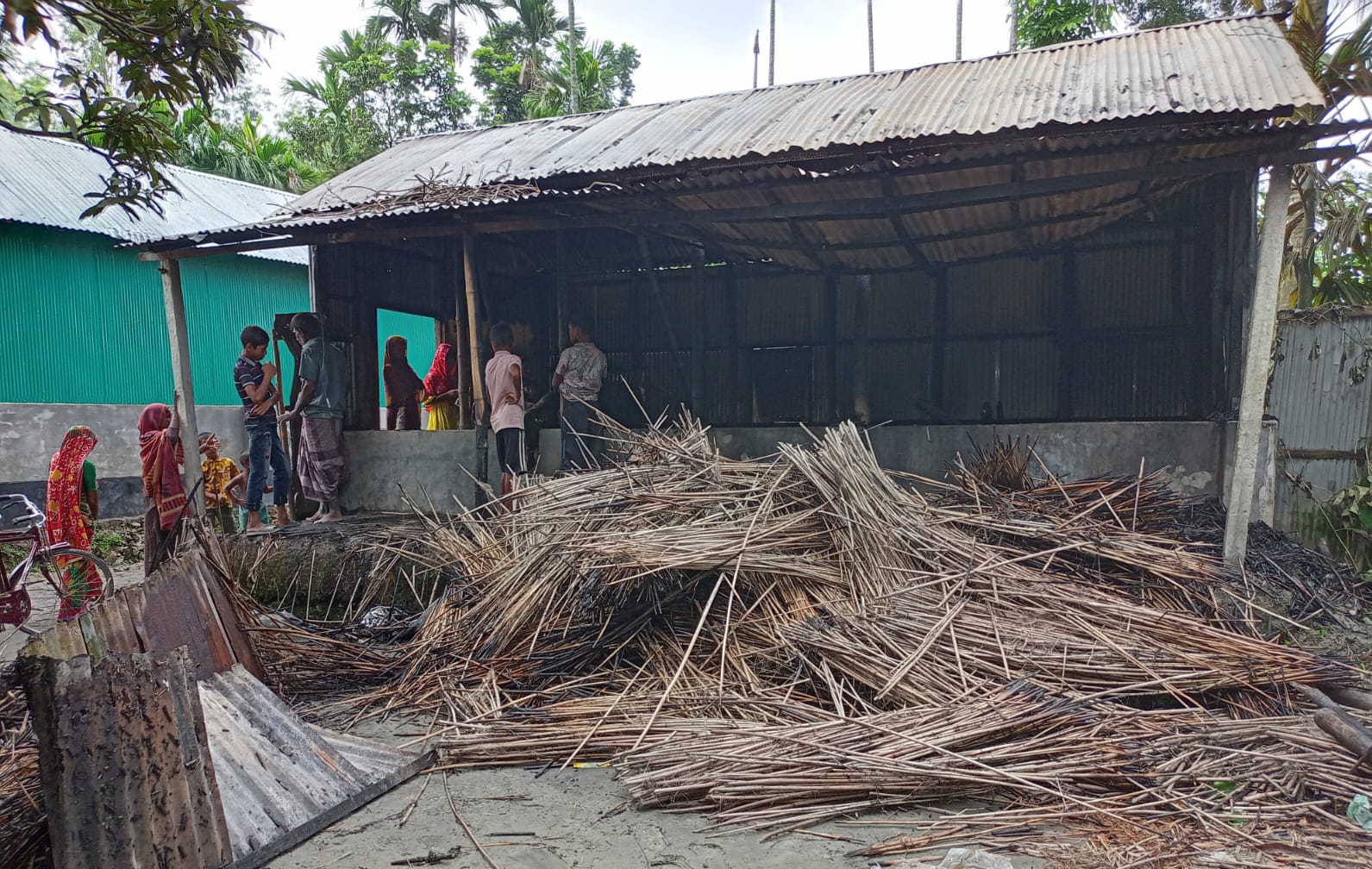 উলিপুরে আগুনে পুড়ে ১০ লক্ষ টাকার গবাদিপশু পুড়ে ছাই 