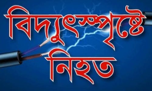 উলিপুরে বিদ্যুৎপৃষ্টে এক ব্যক্তির মৃত্যু