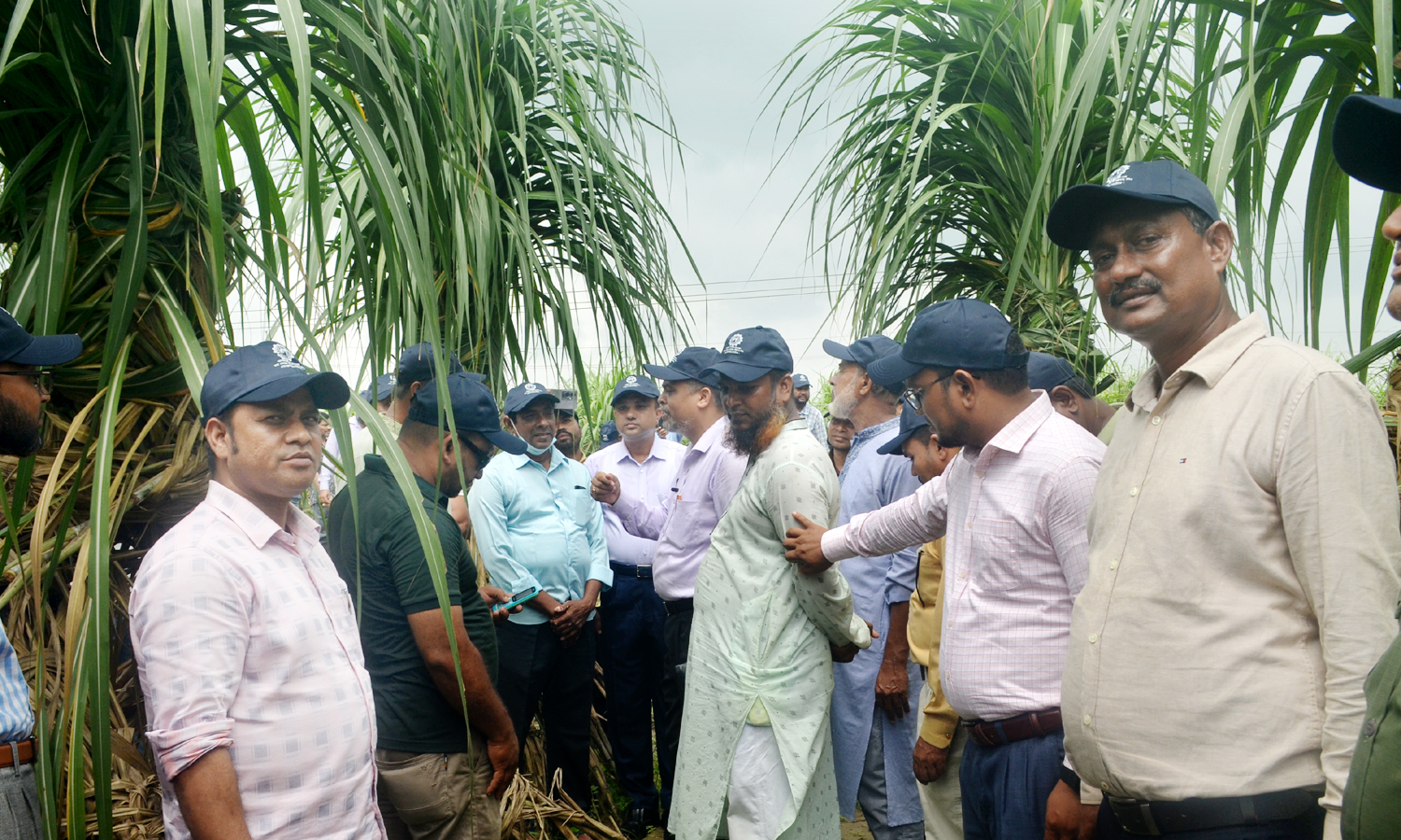 লালপুরে নর্থ বেঙ্গল সুগার মিলের খামার দিবস পালিত