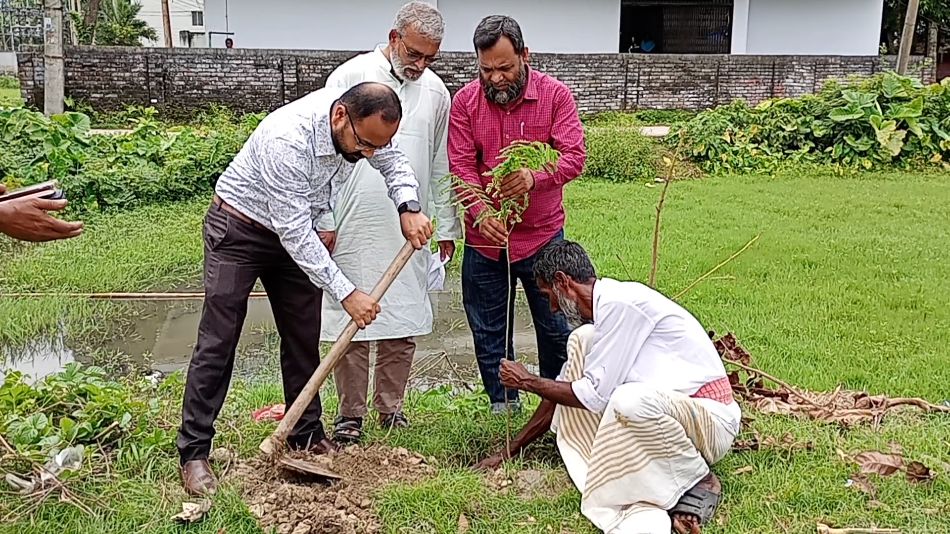 ফুলবাড়ী পৌরসভার উদ্যোগে বৃক্ষরোপন কর্মসূচির উদ্বোধন