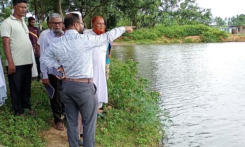 ফুলবাড়ী কানাহার কবরস্থান পরিদর্শনে পৌর প্রশাসক