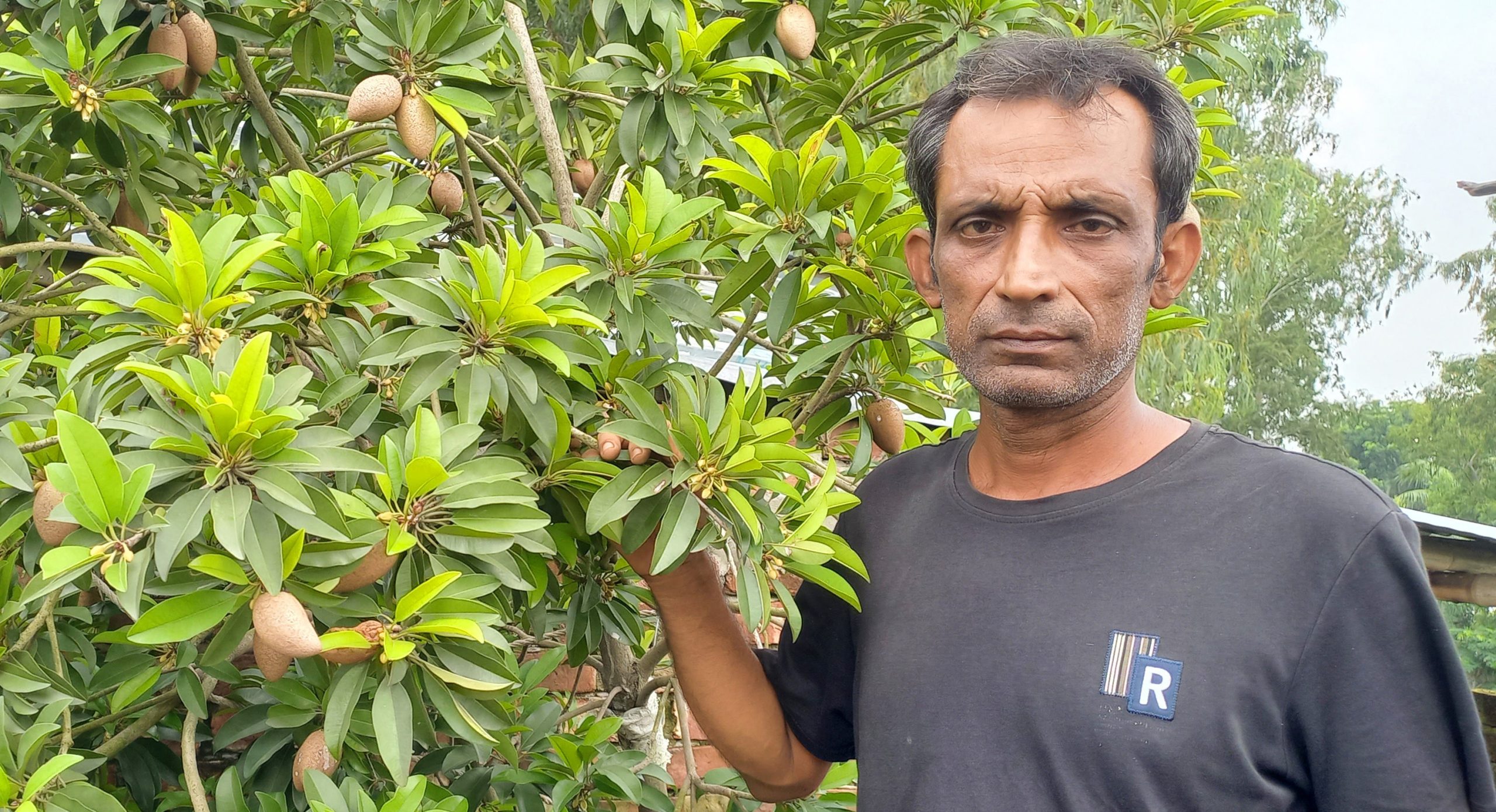 লিটনের ছাদ বাগানে ৩৫ ধরনের ফলগাছ