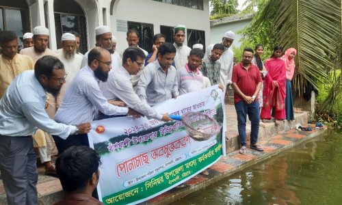 বাঁশখালী উপজেলা প্রশাসনের দেশীয় মাছের পোনা অবমুক্তকরণ