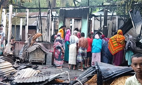 উলিপুরে অগ্নিকাণ্ডে বসতবাড়ি ও গবাদি পশু পুড়ে ছাই