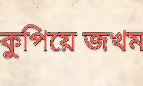 বিজয়নগরে পূর্ব শত্রুতার জেরে কুপিয়ে জখম আদালতে মামলা