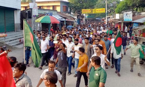 সিংড়ায় ছাত্রদলের আনন্দ মিছিল