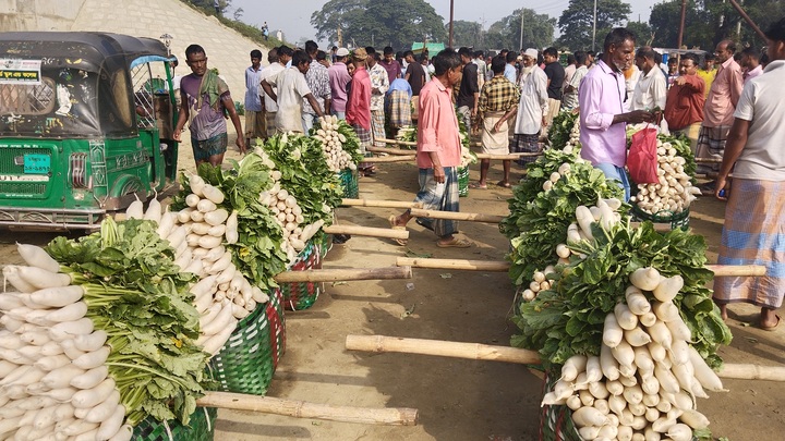 মুলার রাজ্য দোহাজারী!