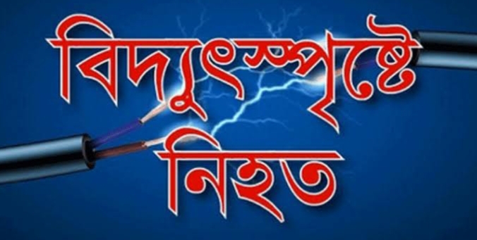 উলিপুরে বিদ্যুস্পৃষ্টে এক গৃহবধূর মৃত্যু 