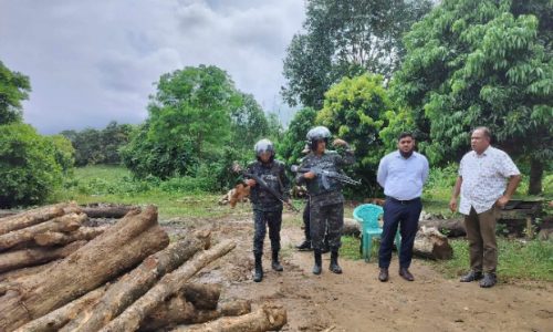 ভ্রাম্যমাণ আদালতের অভিযানে তিন করাতকলের  জরিমানা ঊনিশ হাজার