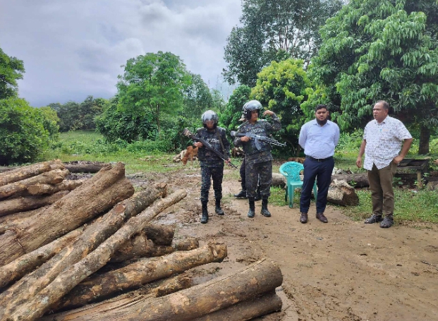 ভ্রাম্যমাণ আদালতের অভিযানে তিন করাতকলের  জরিমানা ঊনিশ হাজার