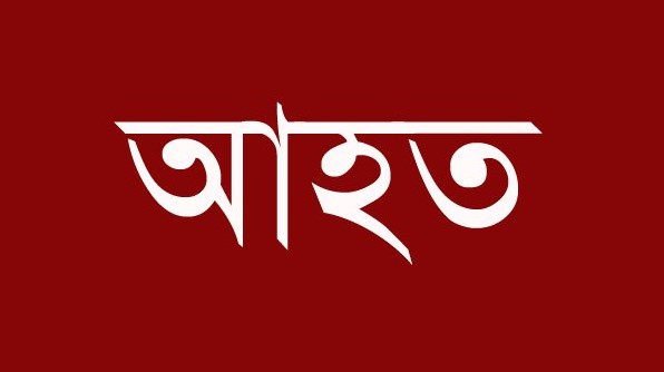 শরণখোলায় বন্যশূকরের আক্রমণে আহত ৩