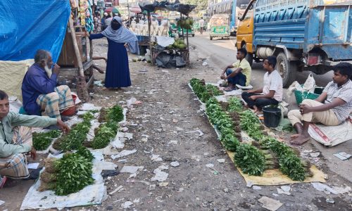 দোহাজারী পৌরসভায় জমে উঠেছে সবজির চারা বিক্রি