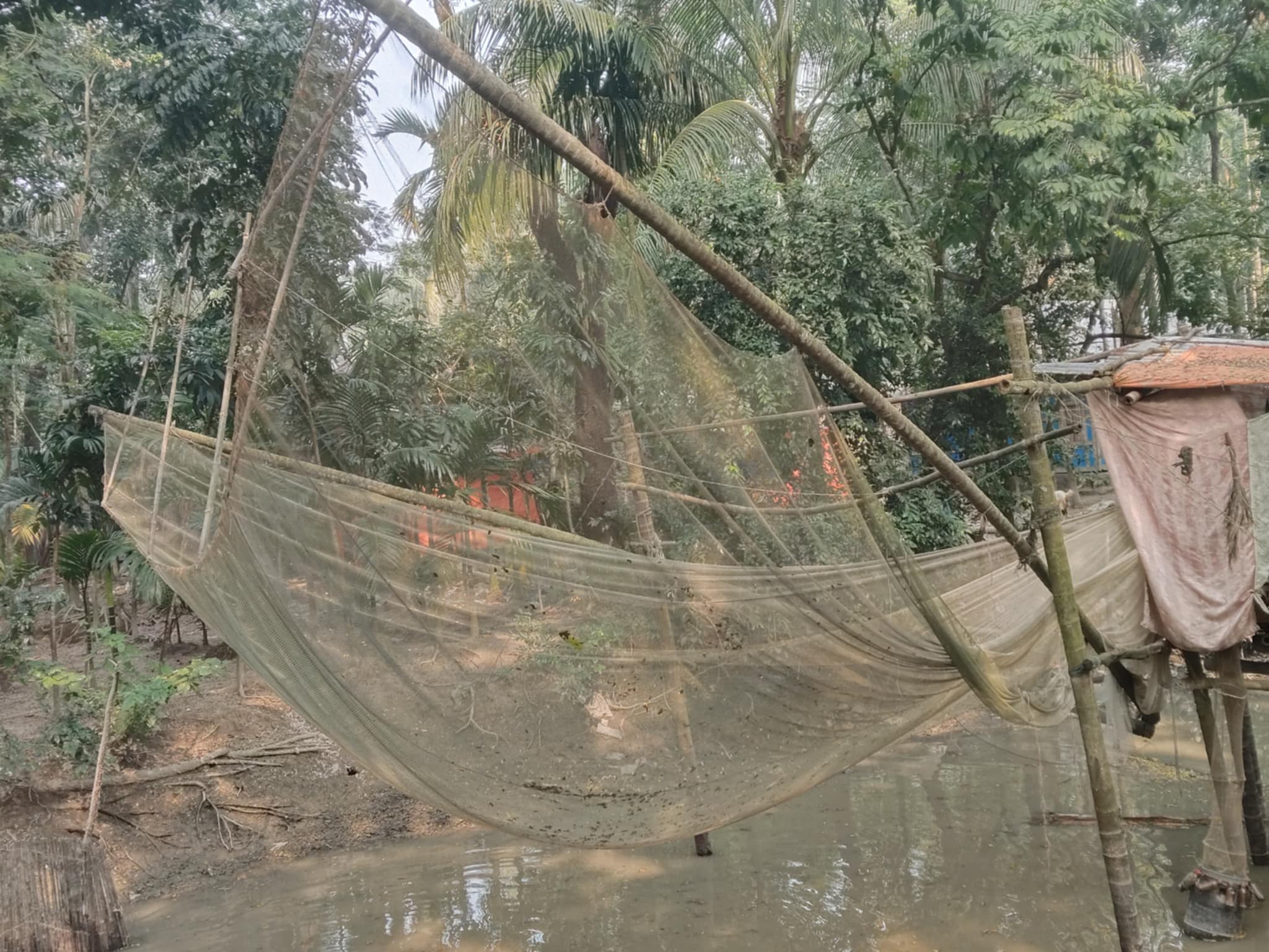 বিলুপ্তির পথে ভোলার ধর্মজাল 