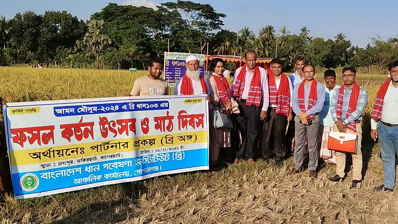 বাগেরহাটে ব্রি ধান ১০৩এর ফসল কর্তন উৎসব ও মাঠ দিবস অনুষ্ঠিত