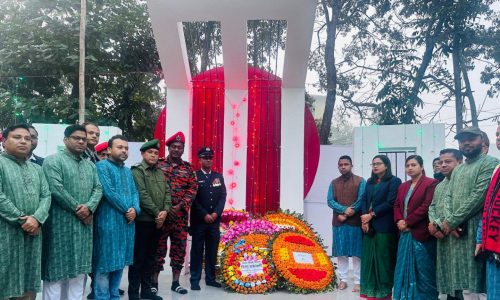 চন্দনাইশে উপজেলা প্রশাসনের উদ্যোগে মহান বিজয় দিবস উদযাপন