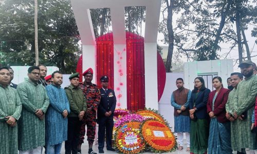 চন্দনাইশে উপজেলা প্রশাসনের উদ্যোগে মহান বিজয় দিবস উদযাপন