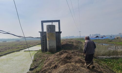 সিংড়ায় বিএডিসির অপরিকল্পিত খাল খননে ক্ষতিগ্রস্ত কৃষকরা