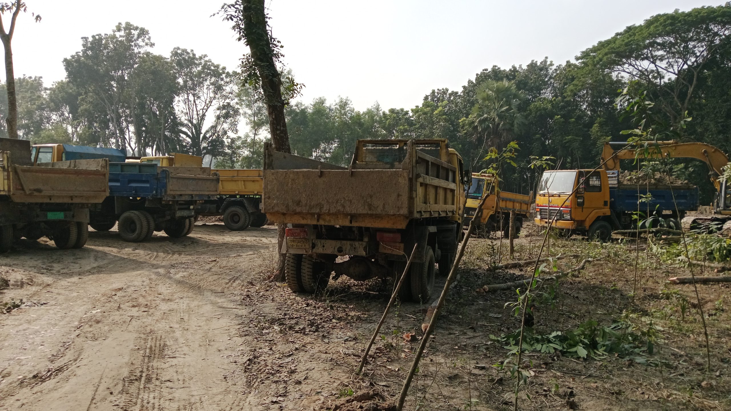 ফসলি ও ভিটার জমি কেটে খনন করছে দিঘী, মাটি যাচ্ছে ইট ভাটায় ও ভরাটে