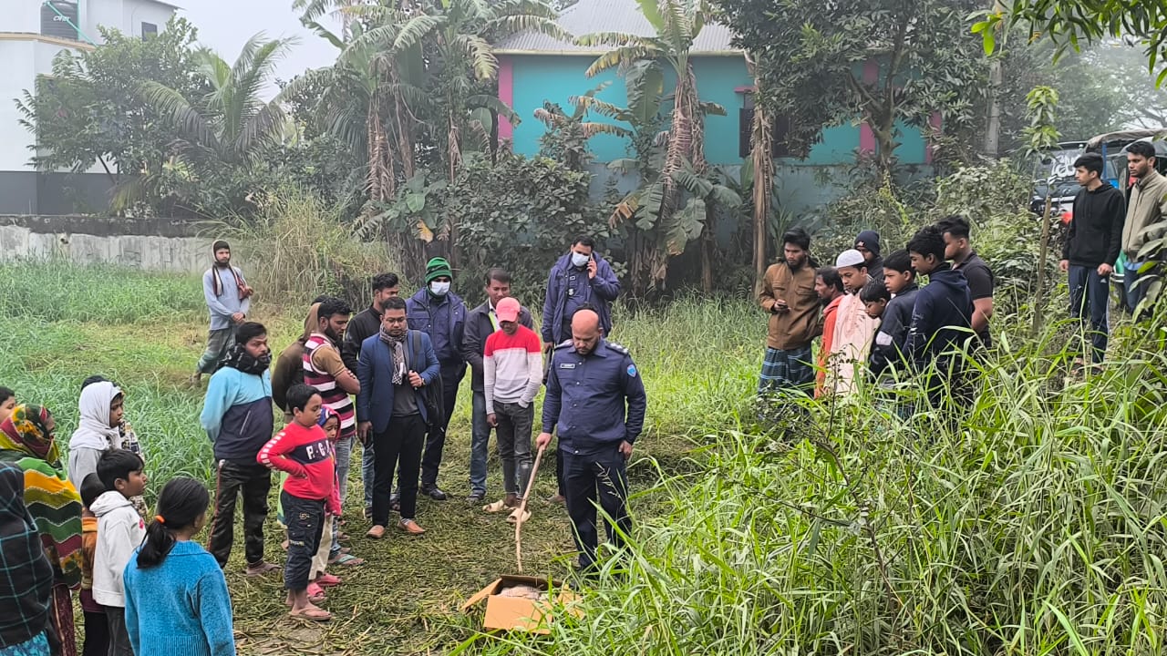 দেবিদ্বারে কার্টুনবক্সে একদিন বয়সী মেয়ে নবজাতকের মৃতদেহ উদ্ধার