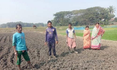 কাশিয়ানীতে সরকারি খাল দখল করে মাছ চাষ, ক্ষতির মুখে ২শ’ কৃষক