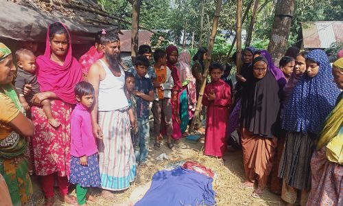 সরিষাবাড়ীতে ট‍্যাফে ট্রাক্টরের চাপায় কিশোরের মৃত্যু 