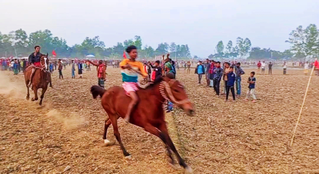 সরিষাবাড়ীতে ঐতিহ্যবাহী ঘোড়দৌড় প্রতিযোগিতা অনুষ্ঠিত 