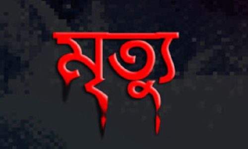 সরিষাবাড়ীতে গাছ কাটতে গিয়ে চাপা পড়ে শ্রমিকের মৃত্যু 