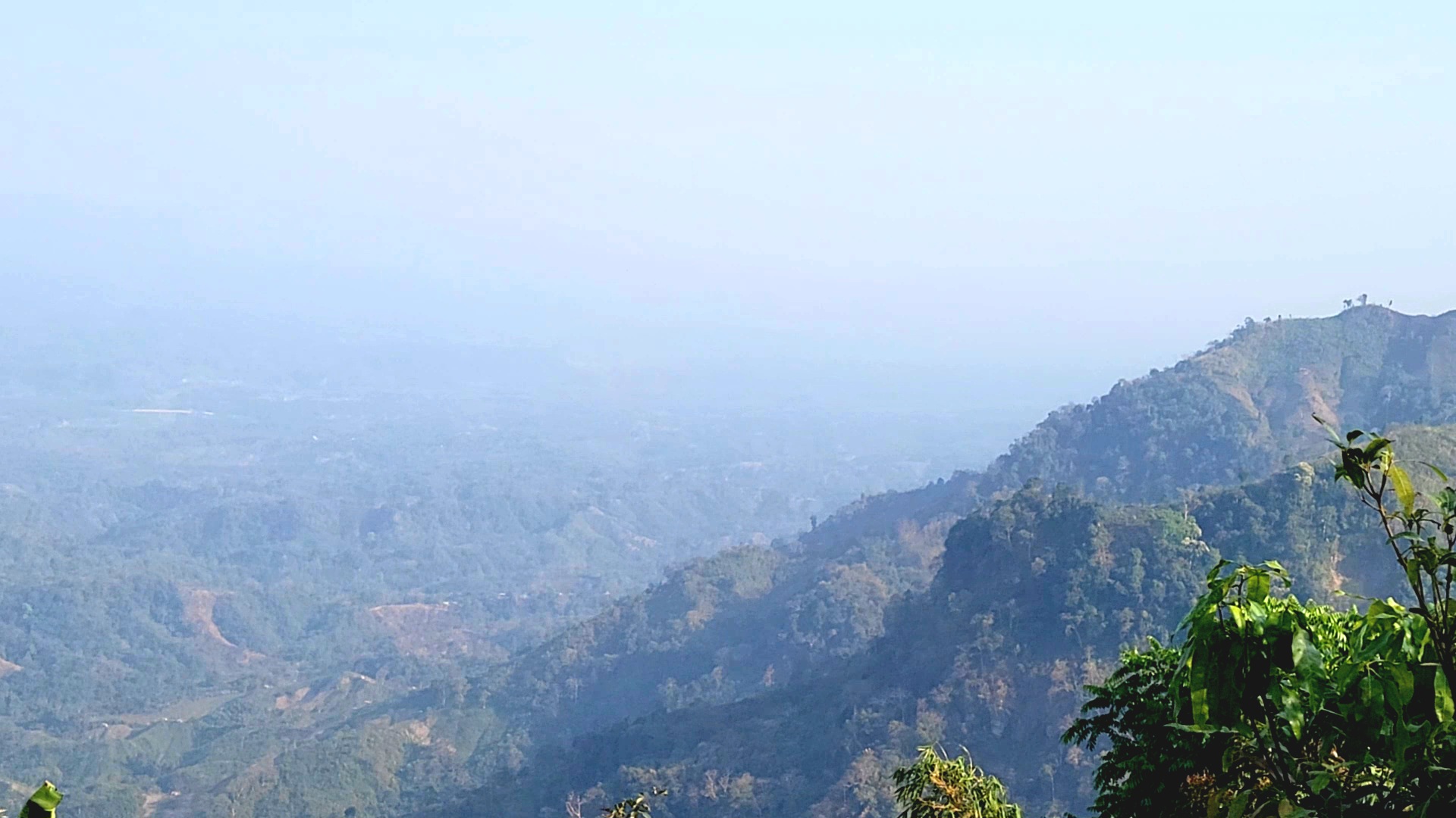 অপহরণের ৭২ ঘন্টা পর মুক্তি মিললো ২৬ রাবার বাগান শ্রমিকের